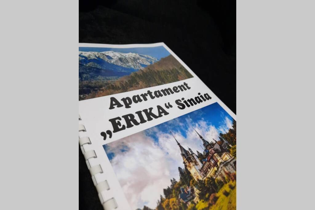 Apartament Erika Sinaia Exteriér fotografie