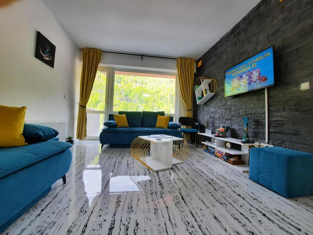 Apartament Erika Sinaia Exteriér fotografie