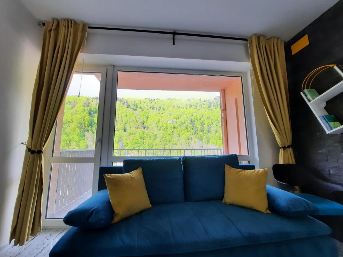 Apartament Erika Sinaia Exteriér fotografie