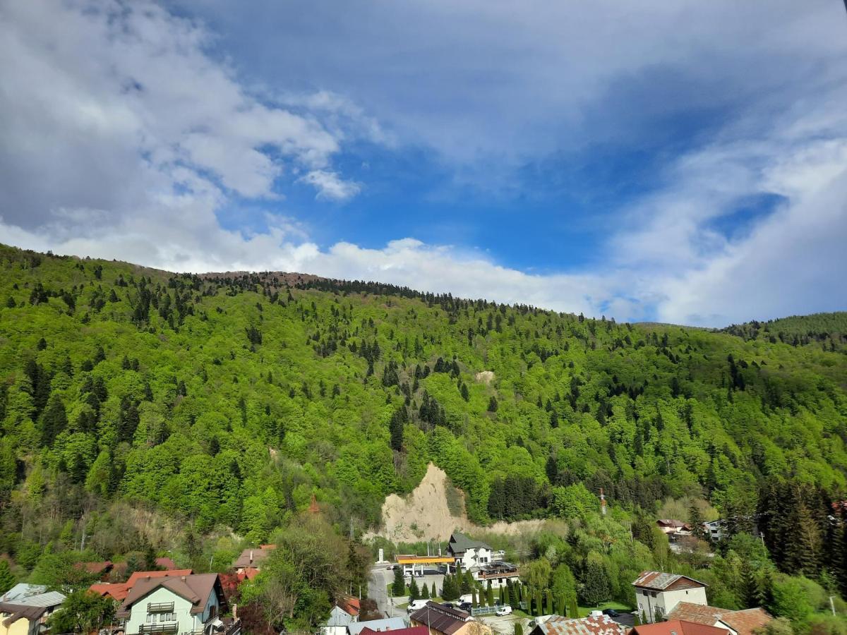Apartament Erika Sinaia Exteriér fotografie