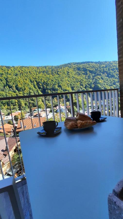 Apartament Erika Sinaia Exteriér fotografie
