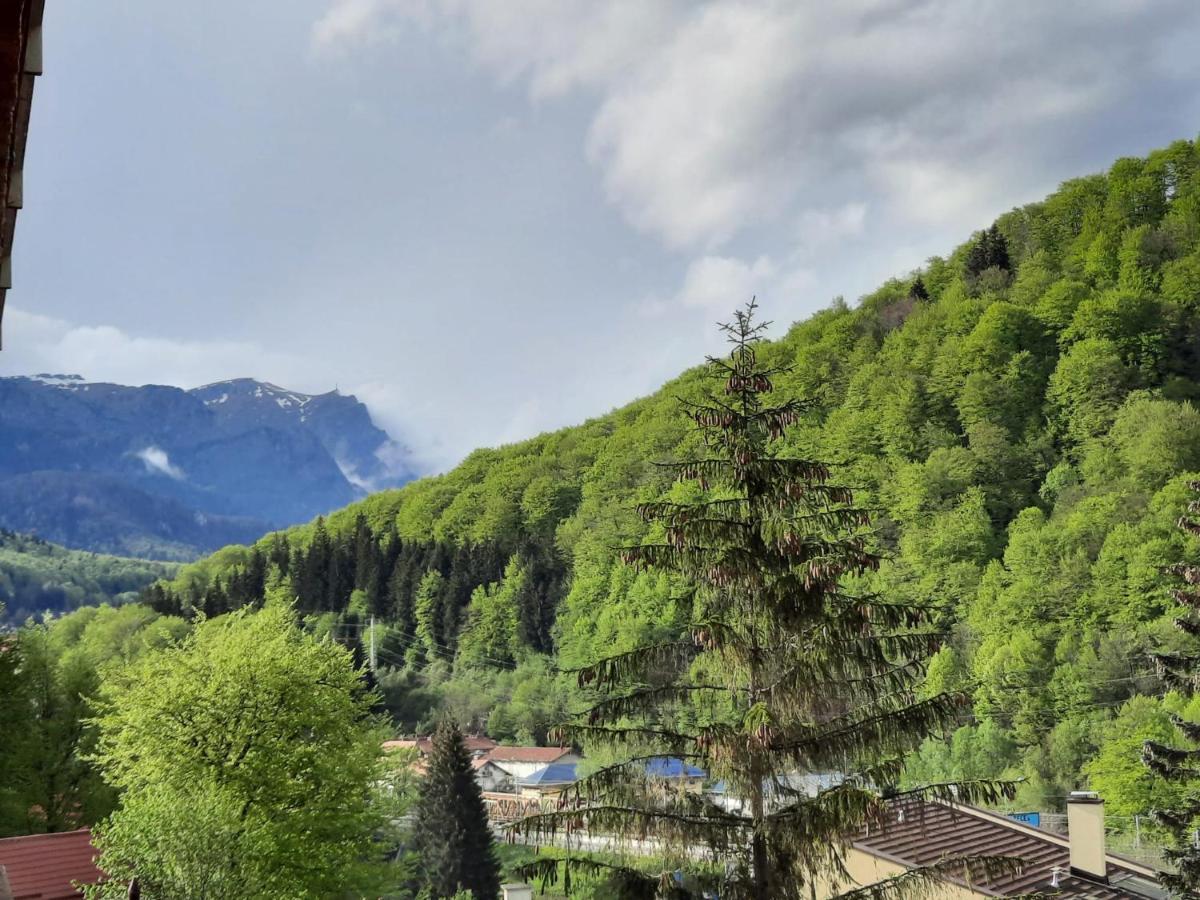 Apartament Erika Sinaia Exteriér fotografie