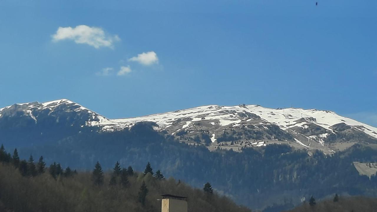 Apartament Erika Sinaia Exteriér fotografie